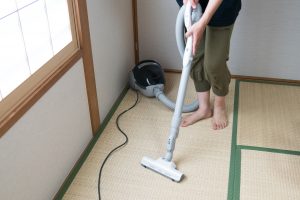 畳に虫が発生 その原因とおもな虫の種類 予防法を解説 和室の豆知識